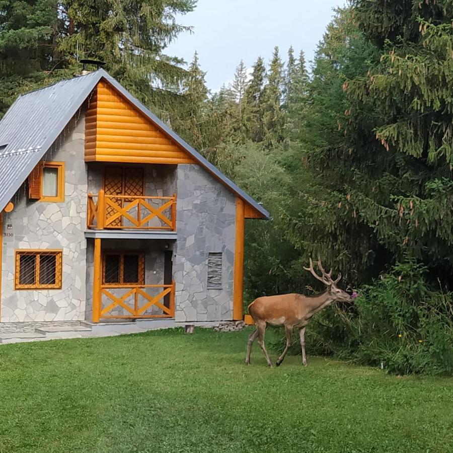 Chata Tatry Tatranska Strba Eksteriør bilde